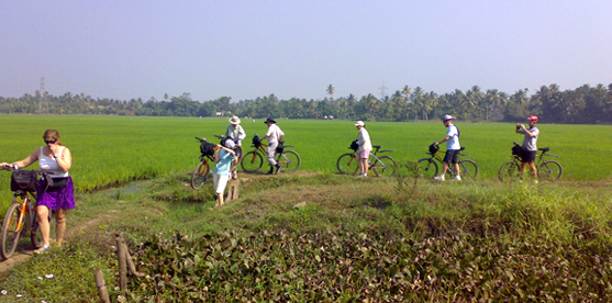 cycling