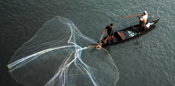 fishing